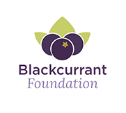 The Blackcurrant Foundation