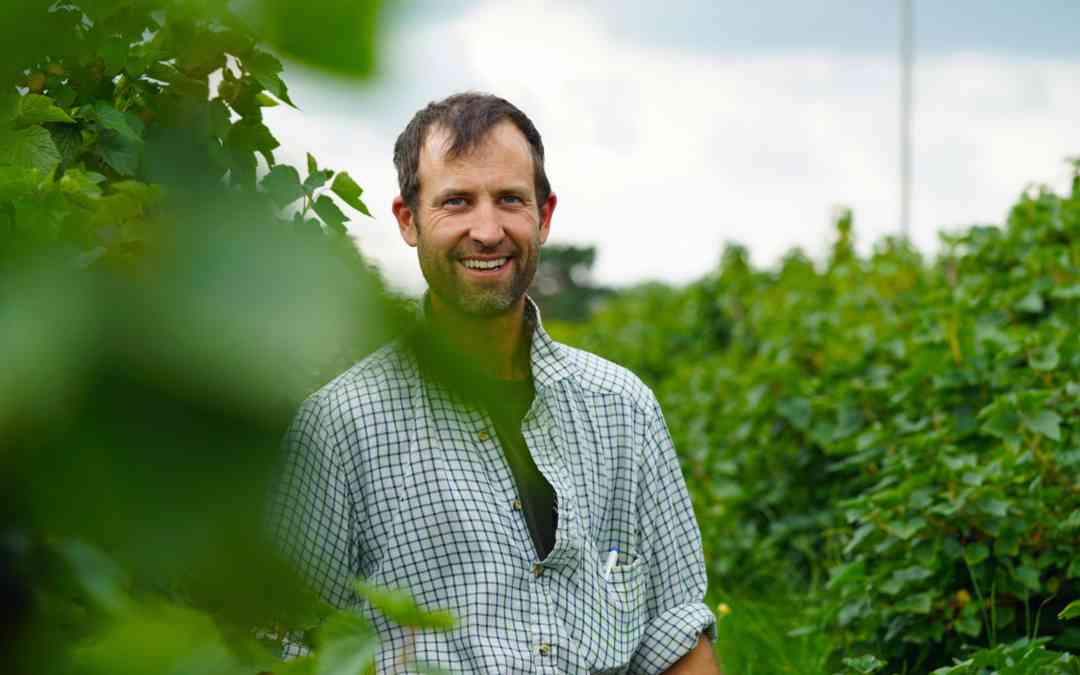 Q&A with Blackcurrant Grower Josh Berry